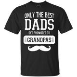 Only The Best Dads Get To Promoted To Grandpa T Shirts